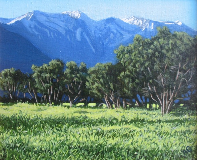 Kaikoura 1