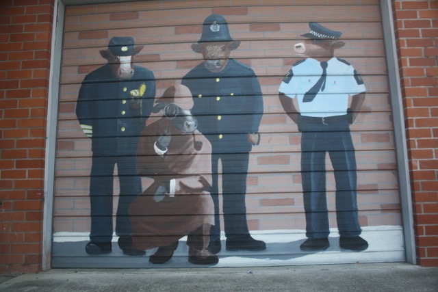 Bulls Police Station