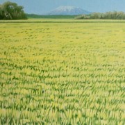 Ruapehu 4