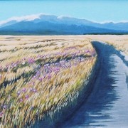 Ruapehu 6